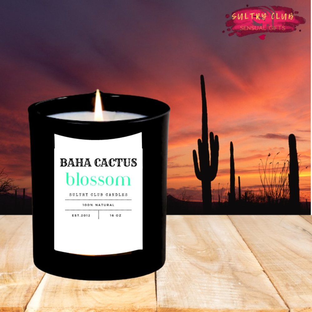 Baha Cactus Blossom 1 Wick Candle (14 Oz)
